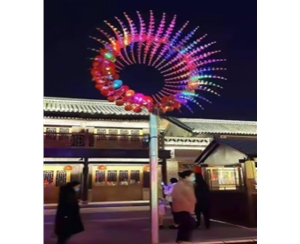 七彩向陽花